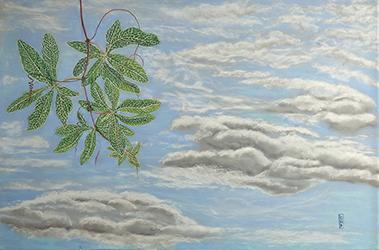 Ciels/Skies/空たち