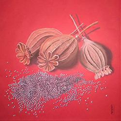 Rouge/Red/紅に染まる